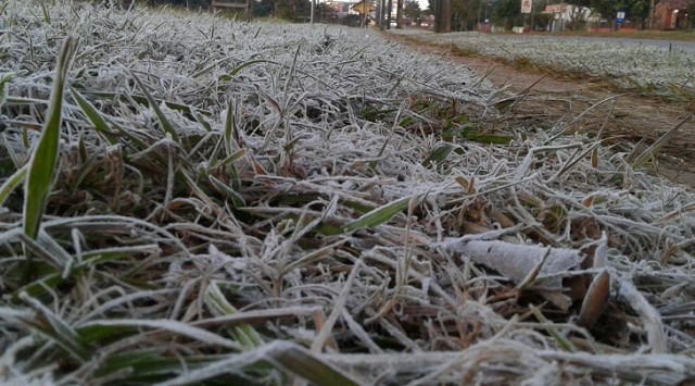 frio