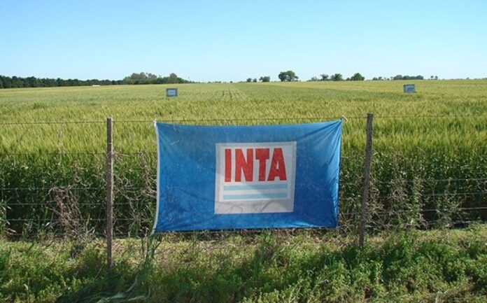 inta
