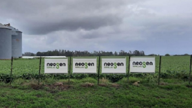 neogen