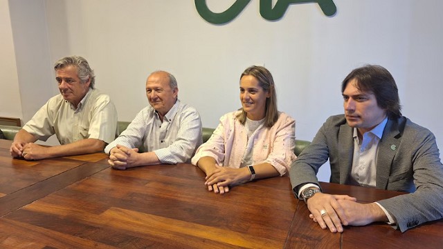 mesa campo