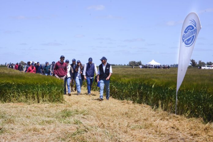 quilmes-dia-a-campo