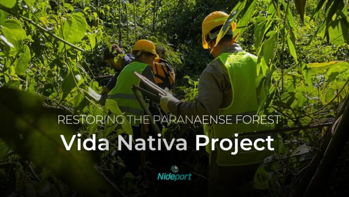 vida-nativa