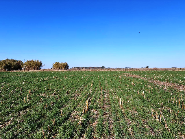 SUEOS-MANEJO-AGRICOLA