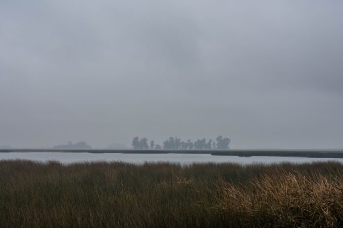 lluvia