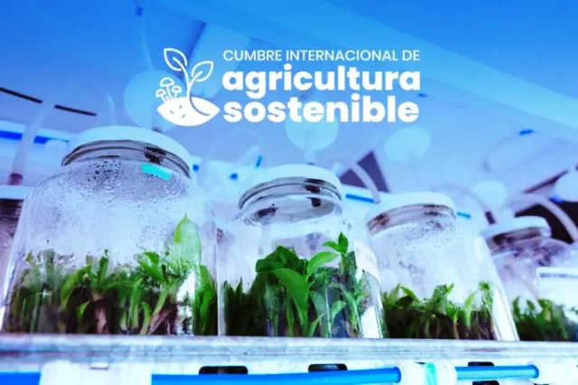 AGRICULTURA-SUSTENTABLE