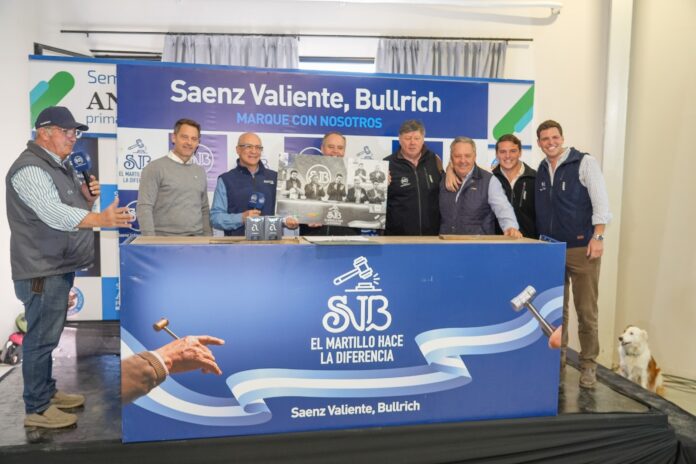 saenz valiente